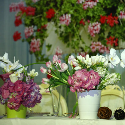 Wedding Decorations